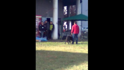 ot rumen