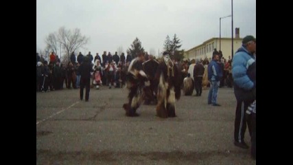 Кукери в Меден Рудник 2011