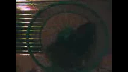 Mu6ko