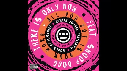 *2014* Souls Of Mischief ft. Snoop Dogg - There is only now