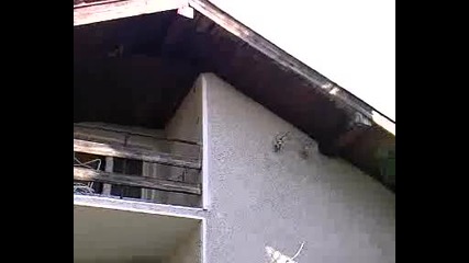 Видео - 0001