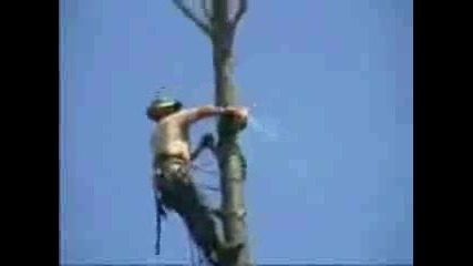 така не се реже дърво