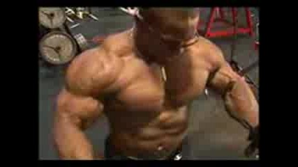 Bodybuilding muscle Dvd Guns 7