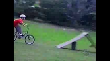 Funny Bikes Funny Animals Painful Slides