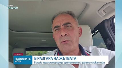 Кои са основните проблеми пред зърнопроизводителите