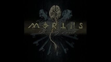 Mortiis - Perfectly Defect 
