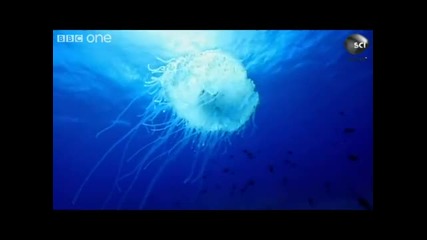 Световен рекорд за най - дълго стоене под вода без въздух 9 минути
