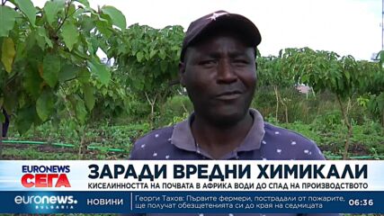 Заради вредни химикали: Киселинността на почвата в Африка води до спад на производството