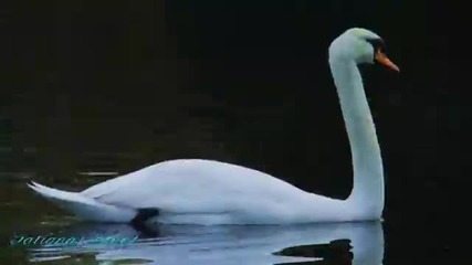 Chris Spheeris - Golden Days