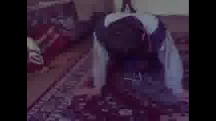 Вха хха