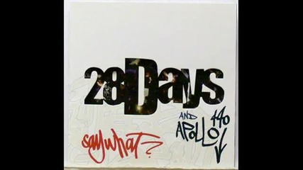 28 Days Ft. Apollo 440 - Say What