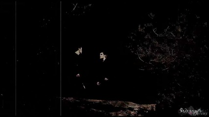 Stefan + Klaus | Pinky and the Brain