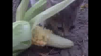 Видео0014