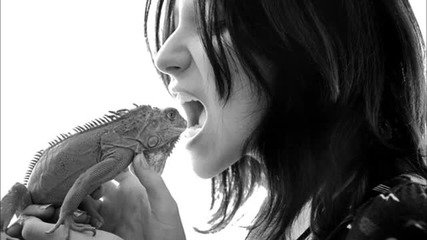 Fran Von Vie - Iguana (original Mix)