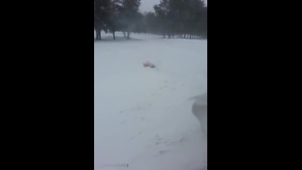 Плуване свободен стил в снега