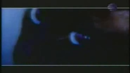 Signal-signal (sbogom)goodbye