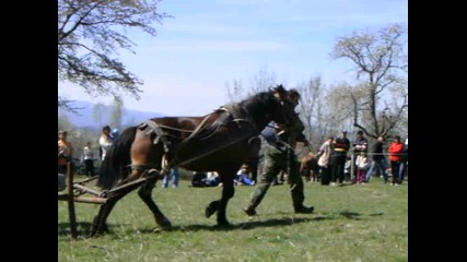 Коня на Панчо - Антон 2011