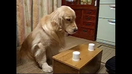 Познай кое 