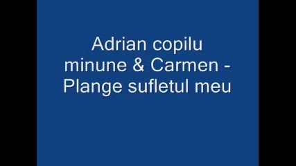 Adrian Copilu Minune & Carmen - Plange sufletul meu 