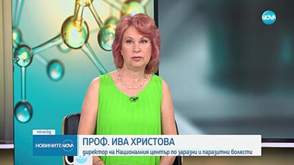 Проф. Христова: Тигровият комар не е опасен, но пренася тропически болести