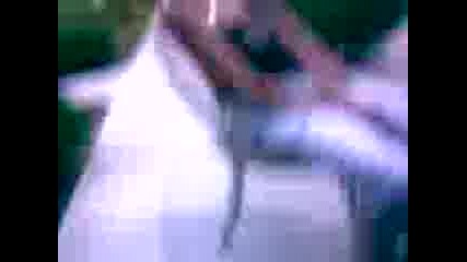 radosiav10