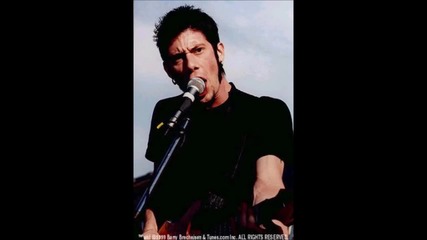 Limp Bizkit (wes Borland)