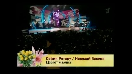 София Ротару и Николай Басков - Цветёт Малина # sub