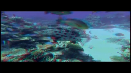Ocean World 3d 