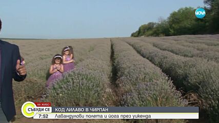 Код лилаво: Започна фестивалът на лавандулата в Чирпан