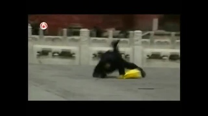 Americas Funniest Home Videos part 451 (new!)