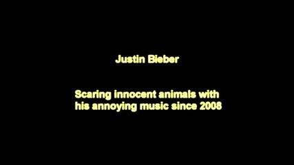 Моята Котка Мрази Justin Bieber