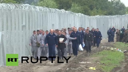 Hungary: Prisoners from Roszke complete Hungarian border fence