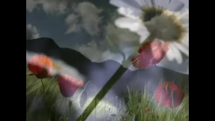 Omar Akram - Dancing with the wind 