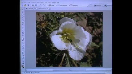 Canon Eos 350 Xt Полезни Уроци 15/16