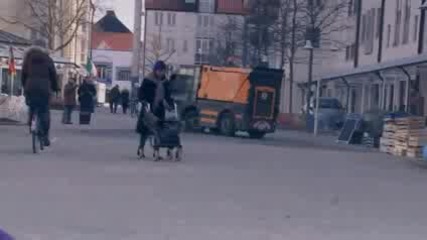Спящи и падащи хора! Смях!