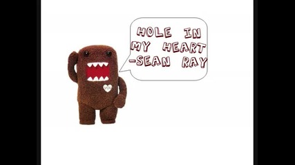 Hole In My Heart - Sean Ray 
