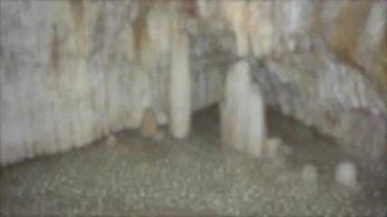 Пещерите на Барбадос