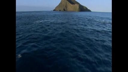 Bbc South Pacific 5 of 6 - Strange islands 3 част