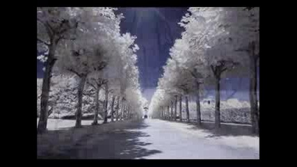 George Michael - Last Christmas