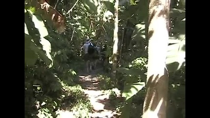 Costa Rica Travel - Wildlife - rich Corcovado 