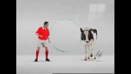 Крава футболист - Много смях 