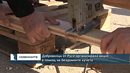 Доброволци от Русе организираха акция в помощ на бездомните кучета