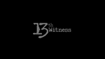 Vossen 13th Witness Art Basel Pml