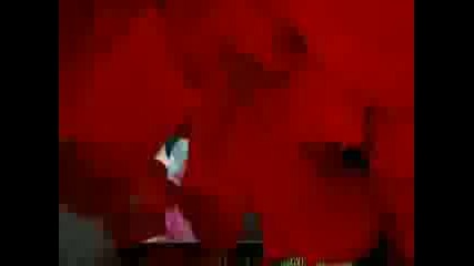 Paul and Dawn - Back to You