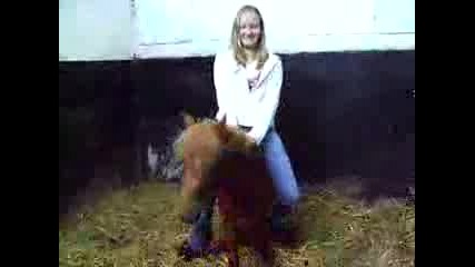 Small Pony Riding.mpg
