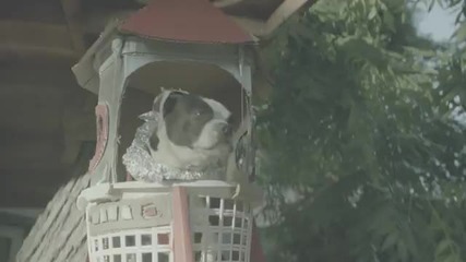 Не сте виждали подобна реклама!