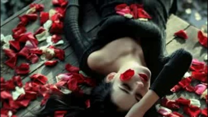 Black - Everythings Coming Up Roses Hd 1080p 