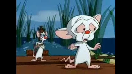 Pinky and the Brain,ep.19