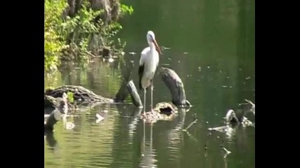 Nature in the Lednice Valtice area