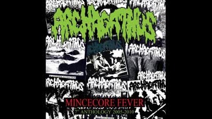Archagathus - Mincecore Fever Anthology 2005-2010